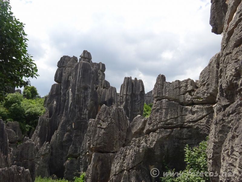 19
Yunnan-Kunming
Bosque de piedra
Palabras clave: Elenita