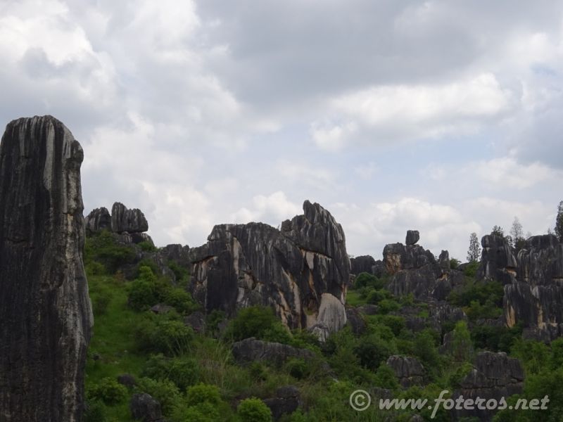 21
Yunnan-Kunming
Bosque de piedra
Palabras clave: Elenita