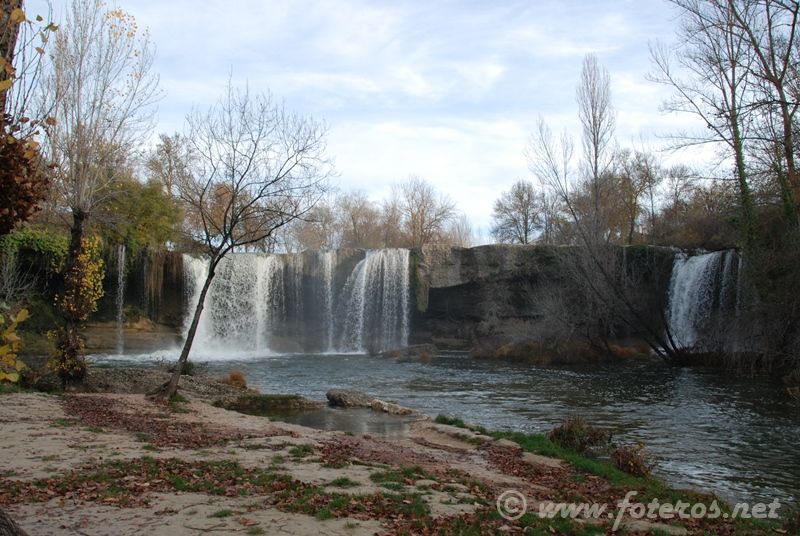 Pedrosa de Tobalina 05
