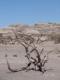 Valle de la Luna